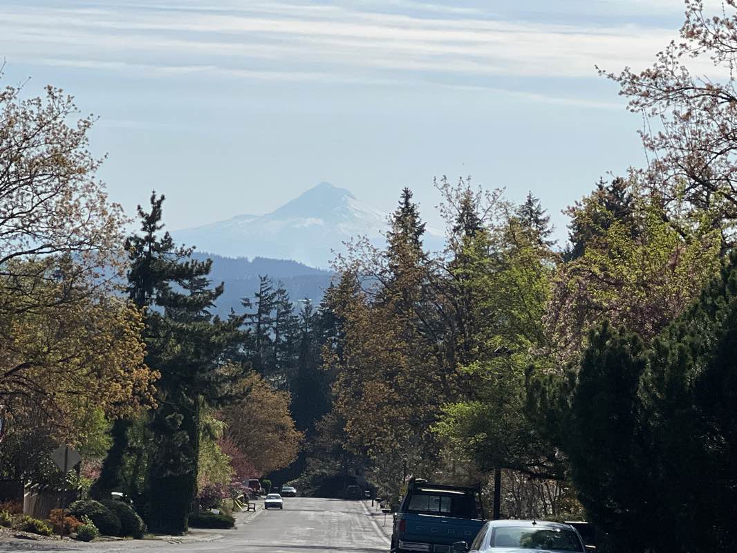 walking near me in Sunburst Park in winter