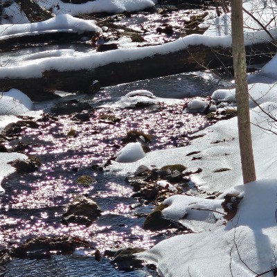 Roxanne Prigitano Mirando post 2