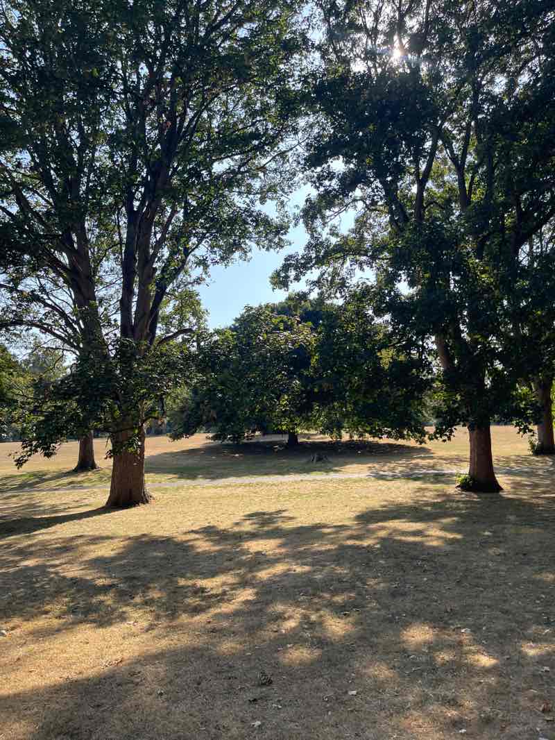 walking near me in Abington Park in summer