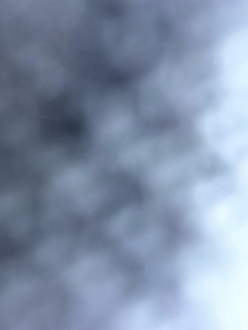 walking near me in Fox Ridge Park in autumn