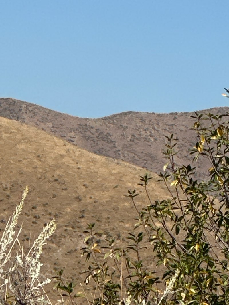 walking near me in Boise Front ACEC in winter