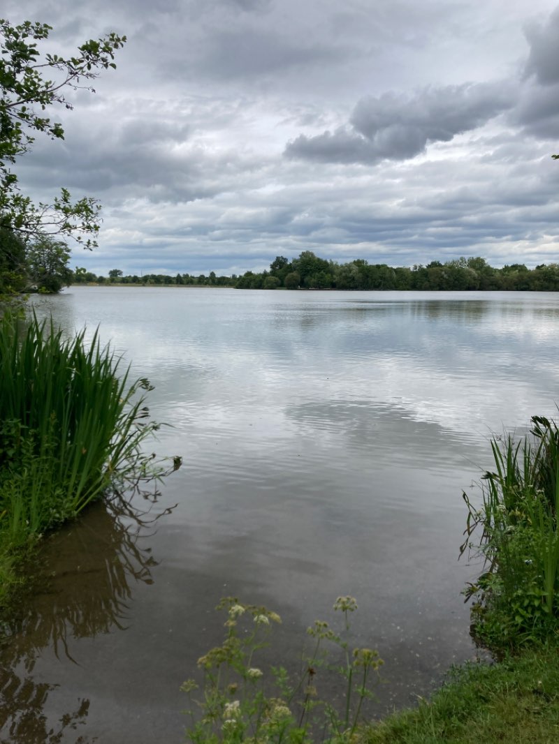 walking near me in Étang d'Apigné in winter