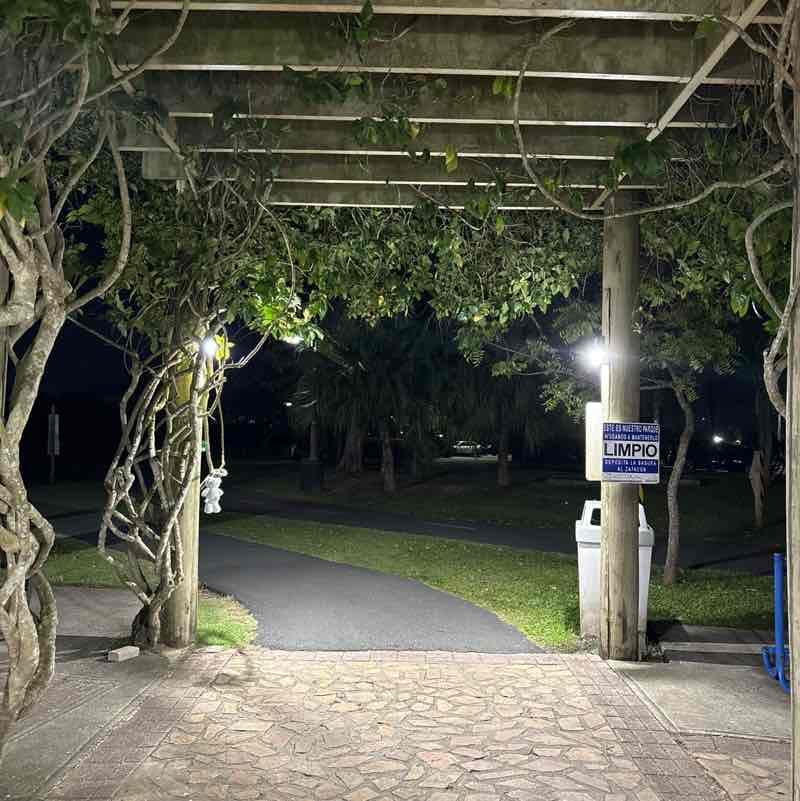 Allen D. 🇵🇷 post 1