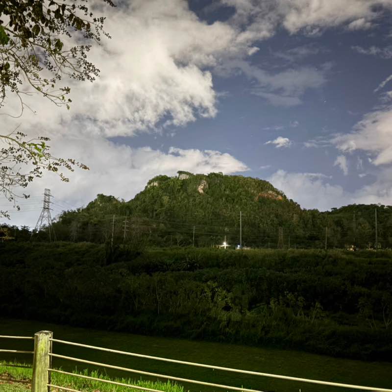 Allen D. 🇵🇷 post 2