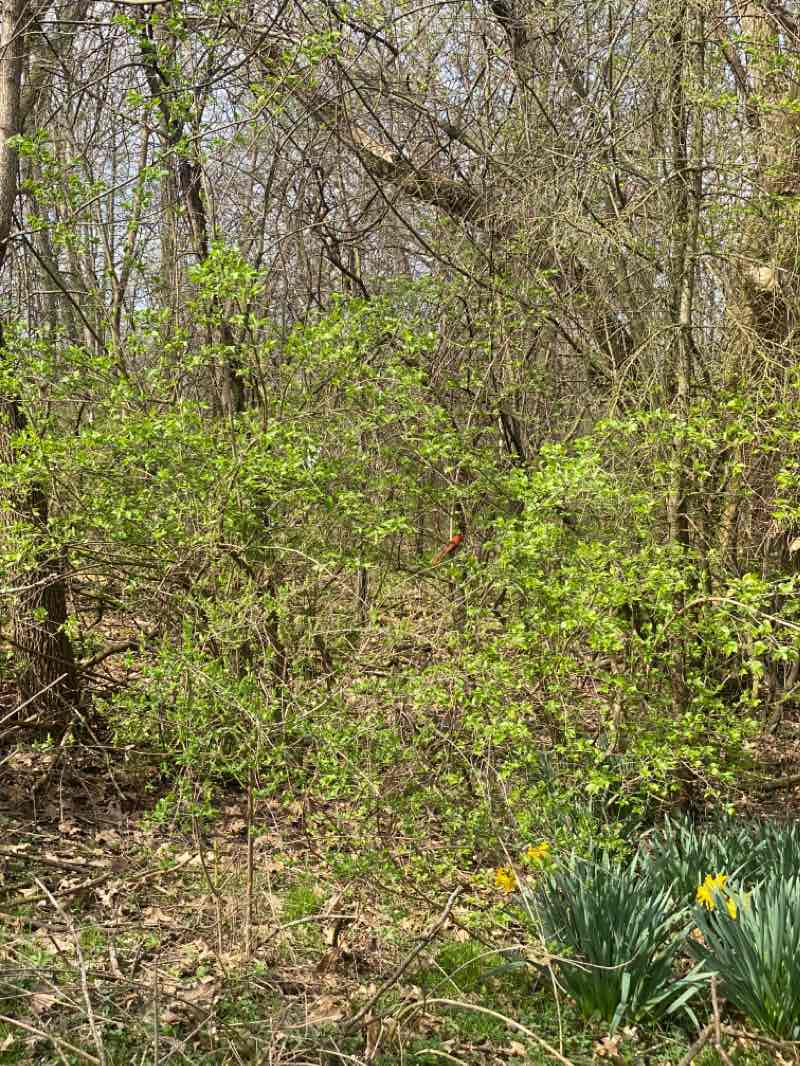 walking near me in Island View Park in winter