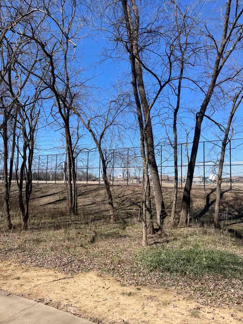 walking near me in Texoma Health Foundation Park in winter