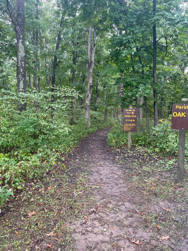 walking near me in Pershing State Park in autumn