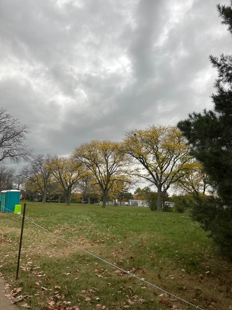 walking near me in Cherry Lane Field in autumn