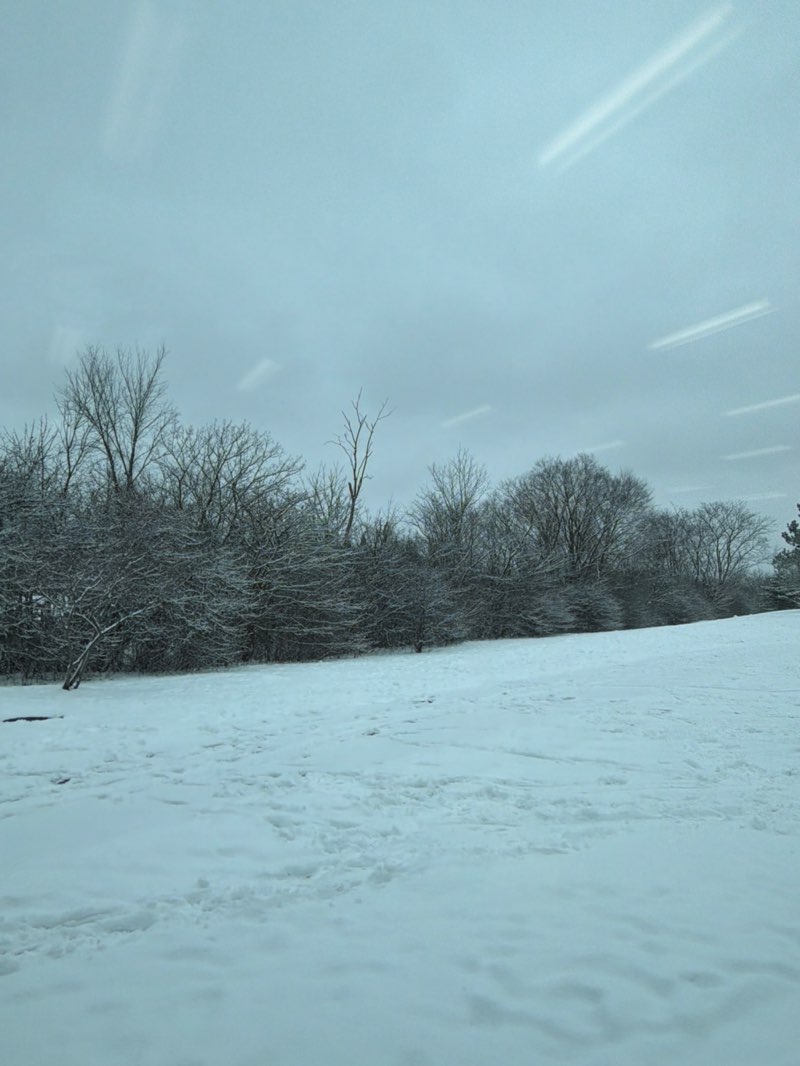 walking near me in Heritage Park in winter