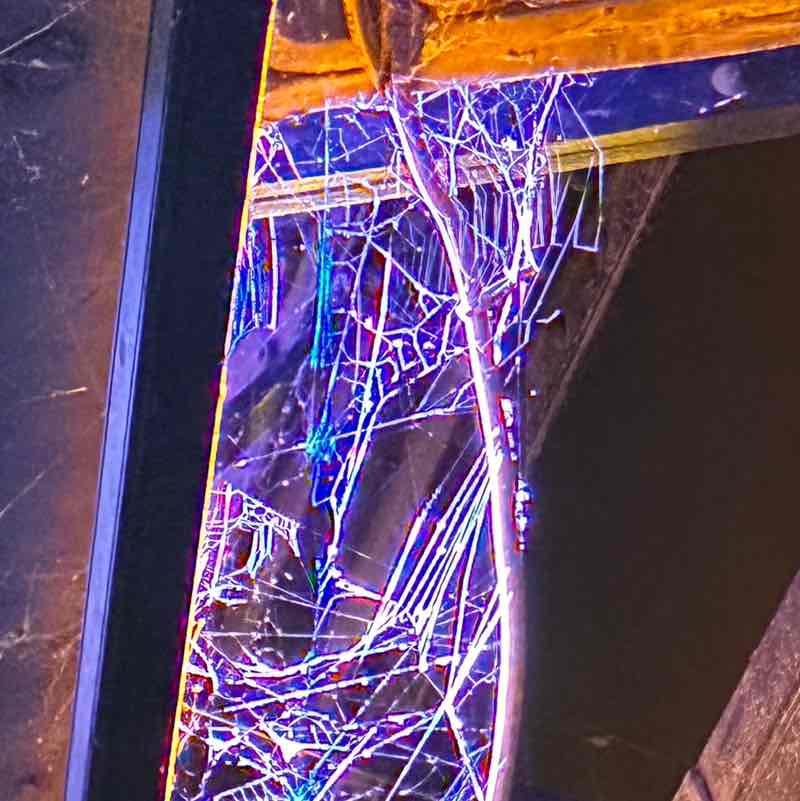 Maryse 🐢 post 1