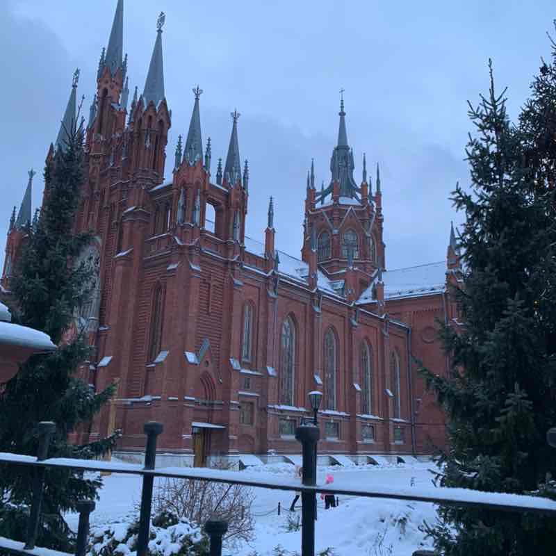 Фёдор 🐯=🗺🚢⚓️🗿🏝🌊🦑🐋🐬🐟🐠 post 2