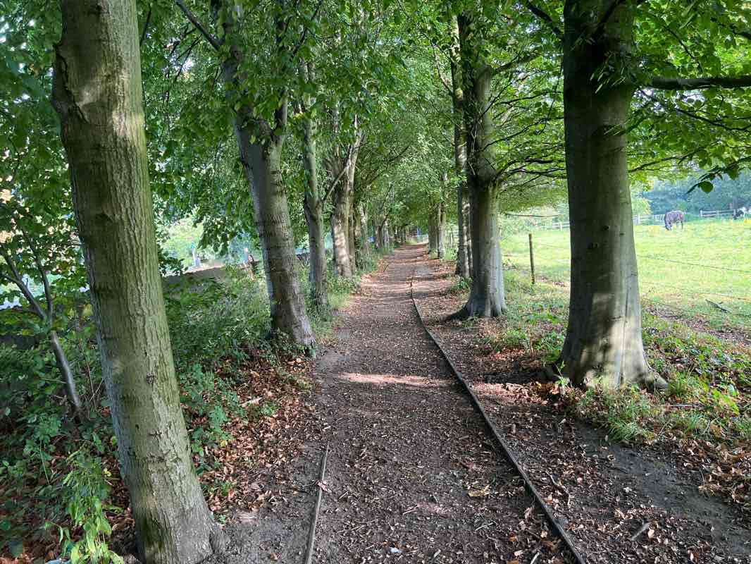 walking near me in Abney Hall Park in winter