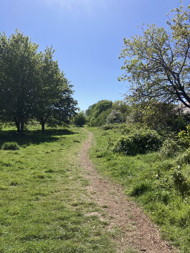 walking near me in Alexandra Millenium Green in spring