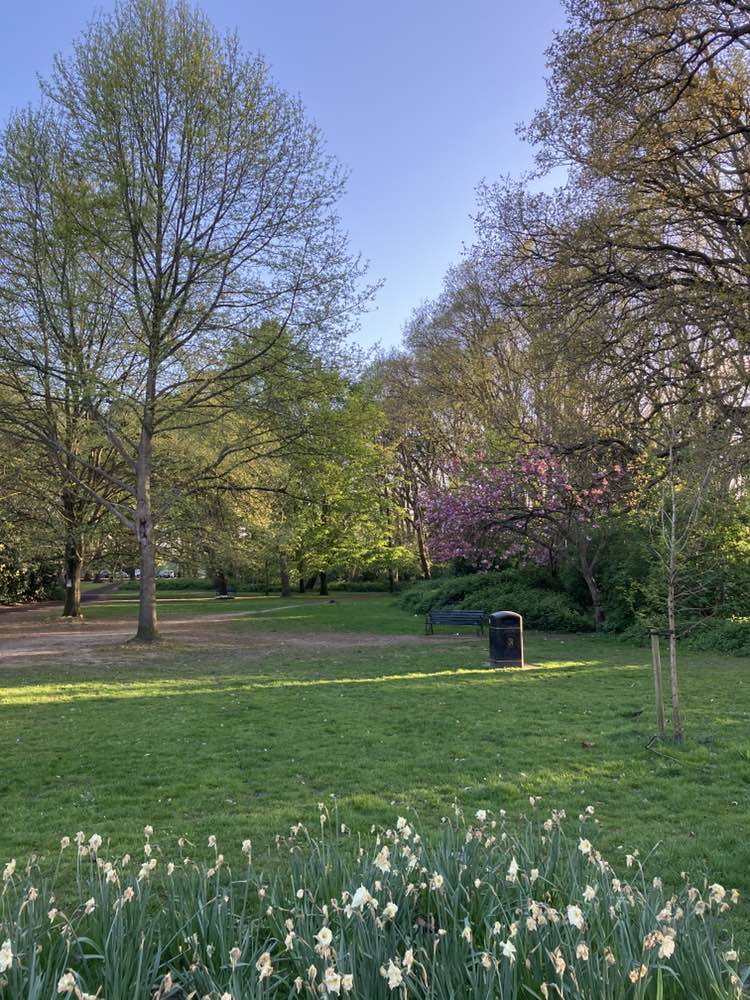 walking near me in Ashley Park Open Space in spring