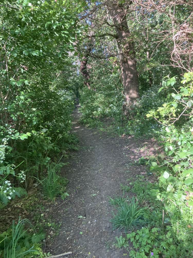 walking near me in Cherry Wood in spring