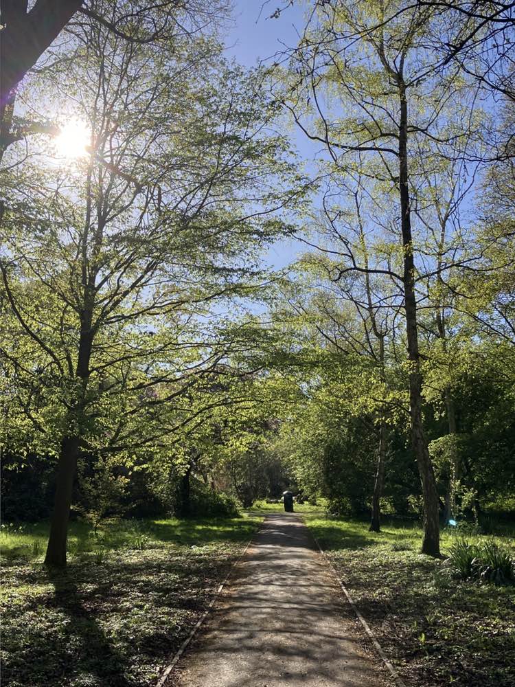 walking near me in Shadbolt Park in spring