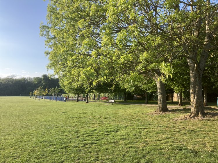 walking near me in Corrigan Recreation Ground in spring