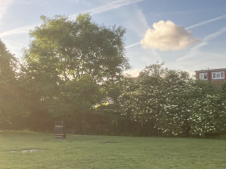 walking near me in Royston Park in summer