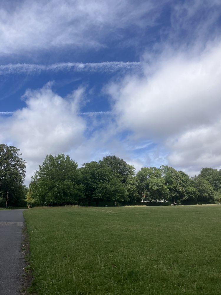 walking near me in Woodcote Village Green in summer