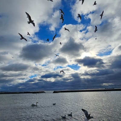 كلنا نمشي #walking_4_all كلنا نمشي #walking_4_all post image