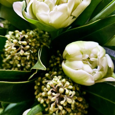 ✨️WALKING CLUB✨️ ✨️WALKING CLUB✨️ post image