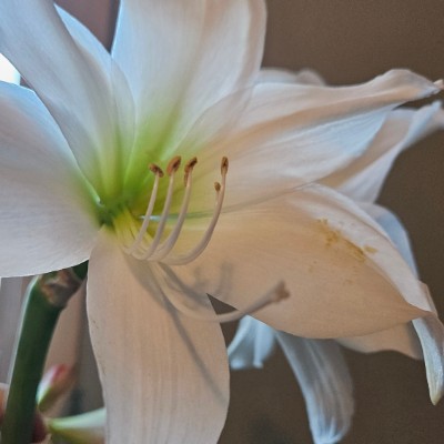 NoVA Fitness NoVA Fitness post image