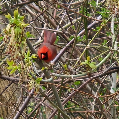 🌿NATURE WALKS🌿 🌿NATURE WALKS🌿 post image