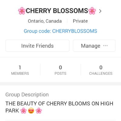 💖KINDNESS💖 🌄SUNSHINE🌄 post image