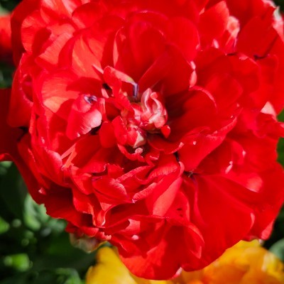 🌏WALK CHALLENGE🌏 🌏WALK CHALLENGE🌏 post image