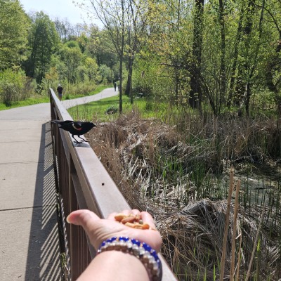 🌿SPRING VIEWS🌿 🌿SPRING VIEWS🌿 post image