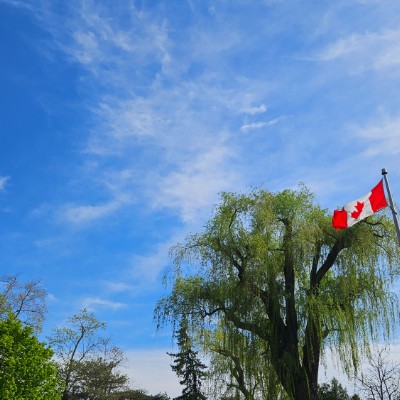 💕SMALL TEAM 💕 💕SMALL TEAM 💕 post image