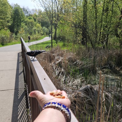 🌿SLOW WALKS🌿 🌿SLOW WALKS🌿 post image