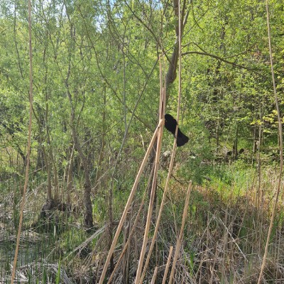 💙WALKING TOGETHER💙 💙WALKING TOGETHER💙 post image