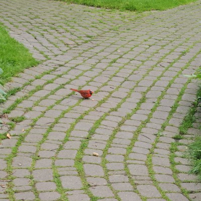 💓SLOWLY WE GET THERE💓 💓SLOWLY WE GET THERE💓 post image