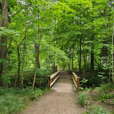 💓SLOWLY WE GET THERE💓 💓SLOWLY WE GET THERE💓 post image