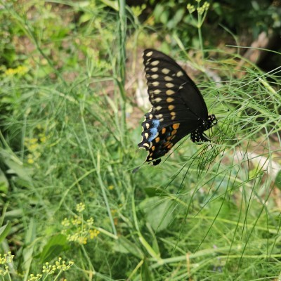 🌸😎AWESOME TEAM😎🌸 🌸😎AWESOME TEAM😎🌸 post image