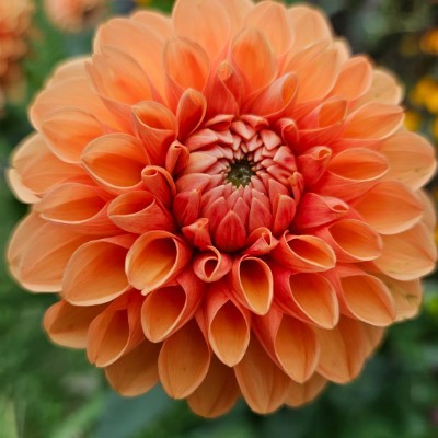 TÜRKİYE TÜRKİYE post image