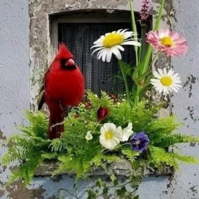 ❤️HAPPY TOGETHER❤️ ❤️HAPPY TOGETHER❤️ post image