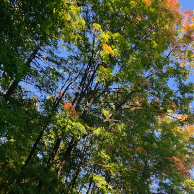 🌎🇺🇸NEW YORK🇺🇸🌎 🌎🇺🇸NEW YORK🇺🇸🌎 post image