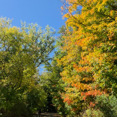 🌎🇺🇸NEW YORK🇺🇸🌎 🌎🇺🇸NEW YORK🇺🇸🌎 post image