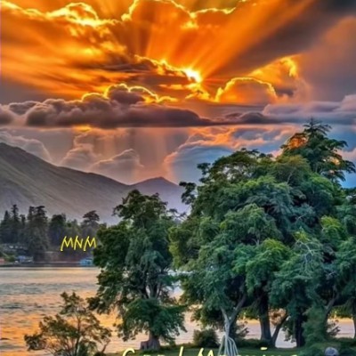 The challenge 🌄SUNSHINE🌄 post image