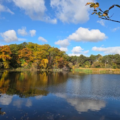 ✌️PEACEFUL TEAM✌️ ✌️PEACEFUL TEAM✌️ post image