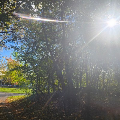 ✌️PEACEFUL TEAM✌️ ✌️PEACEFUL TEAM✌️ post image