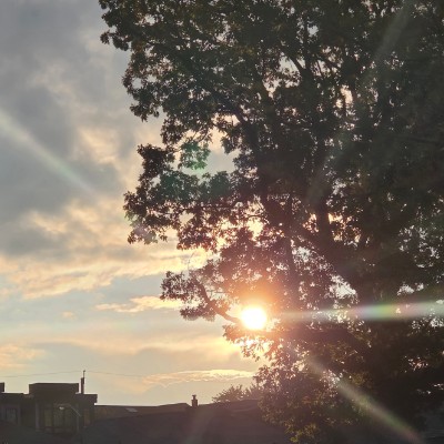 🌅SUNRISE PACERS🌅 🌅SUNRISE PACERS🌅 post image