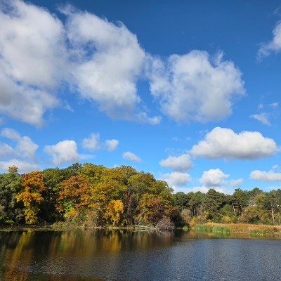 ✌️PEACEFUL TEAM✌️ ✌️PEACEFUL TEAM✌️ post image