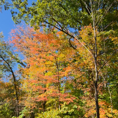 🌎🇺🇸NEW YORK🇺🇸🌎 🌎🇺🇸NEW YORK🇺🇸🌎 post image