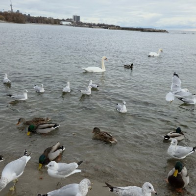 📸WALKS & PHOTOGRAPHY 📸 📸WALKS & PHOTOGRAPHY 📸 post image