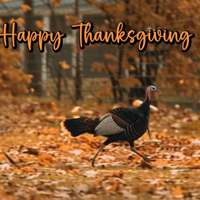 truth seekers 🌄SUNSHINE🌄 post image