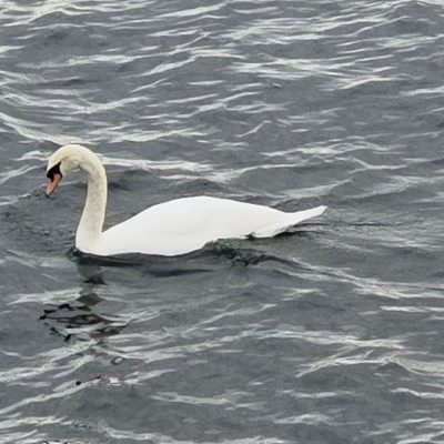 Hidden House of Hustle 🌄SUNSHINE🌄 post image