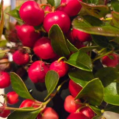 Stay at home mom’s fun walks 🌄SUNSHINE🌄 post image